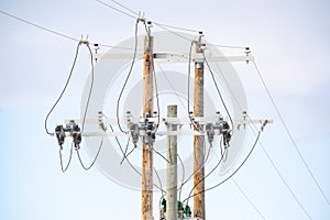 Wooden power poles with transmission lines carrying electricity on a bright sunny day in Alberta Canada