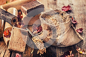 Wooden pressed pellets and briquettes from biomass.