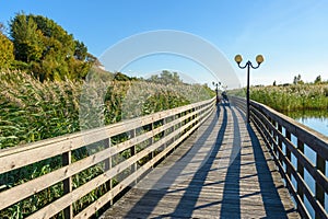 Wooden promenade along the Baltic Sea coas. Yantarny. Kaliningrad region. Russia