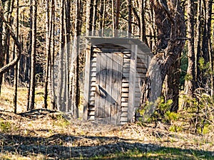 Wooden public toilet in a pine forest