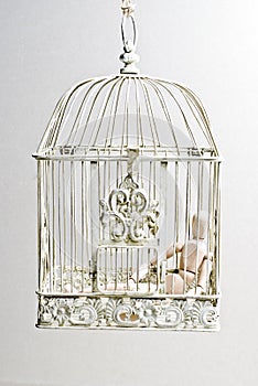Wooden puppet in bird cage sitting
