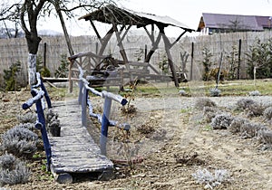 Wooden purple decorative bridge in garden