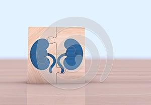 Wooden puzzle cubes with kidney icon. Concept