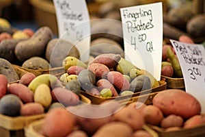 Wooden Quarts of Mixed Potatoes