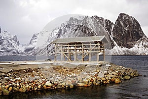 Wooden racks on the foreshore for drying cod fish in winter. Reine fishing village, Lofoten islands.