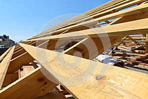 wooden rafters on the roof