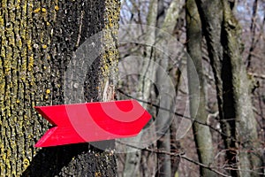 Wooden red signpost