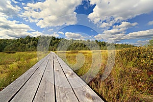 Wooden road through a bog