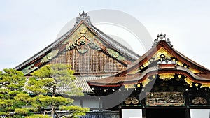 Wooden roof of Nijo Castle