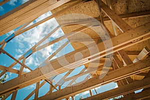 Wooden Roof Structure