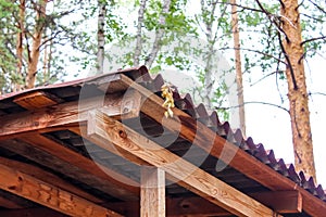 Wooden roof of summer verandah with pine trees in the background