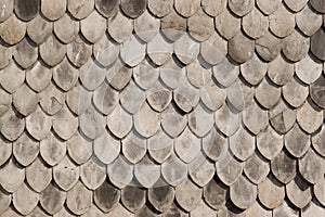 Wooden roof texture