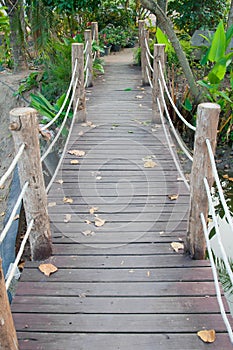 Wooden rope jungle bridge