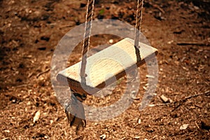 Wooden Rope Swing