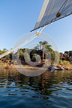 Wooden ropes and pulleys of the sail of a typical boat called Felucca on the Nile River in Africa, with shores lined with palm tre
