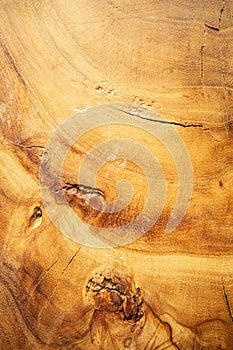 Wooden round cut from oak, cutting board, cross-section of a cut wooden piece of wood with cracks and rings. Wood background