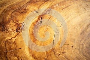 Wooden round cut from oak, cutting board, cross-section of a cut wooden piece of wood with cracks and rings. Wood background