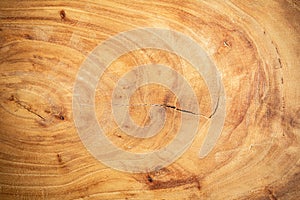 Wooden round cut from oak, cutting board, cross-section of a cut wooden piece of wood with cracks and rings. Wood background