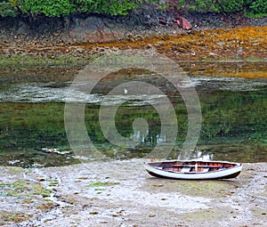 Wooden rowboat in the slough photo