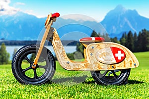 Wooden runbike on the grass field outdoors