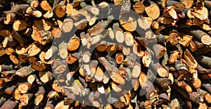 Rural Stack Firewood Textured Panorama Background.