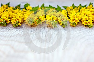 Wooden rustic background woth yellow flowers on it.