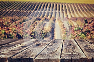 Wooden rustic boards in front of vineyard background in autumn. ready for product display.