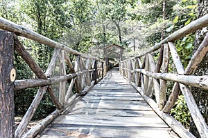 Green forest. rustic bridge, Mazamitla photo