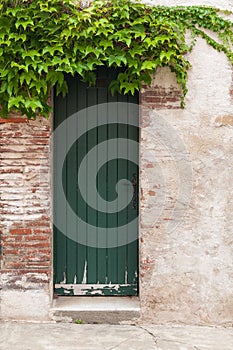 Wooden rustic door