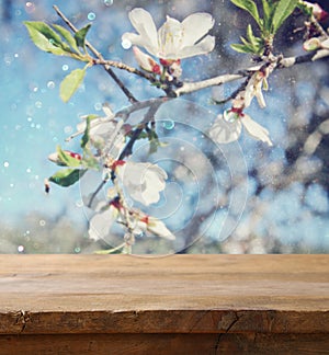 wooden rustic table in front of cherry tree