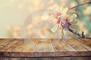 Wooden rustic table in front of spring white cherry blossoms tree. vintage filtered image. product display and picnic concept