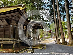 Wooden Sanctuary: Temple Tranquility in Koyasan, Wakayama, Japan