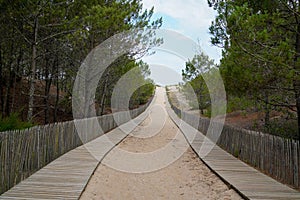 Wooden sandy pathway access to Cap-Ferret sea beach in gironde france