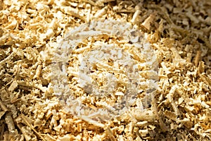 Wooden sawdust texture. Close-up view Nature background