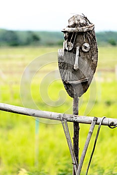 Wooden scarecrow in rice field of Thailand for protect birds eat the crops, Backdrop Rice plants in paddy field Natural green