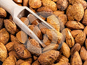 Wooden scoop in almond drupes and seeds closeup