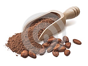 Wooden scoop with crude cocoa powder and raw beans isoladed on white background