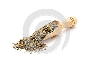 a wooden scoop filled with Organic Kalmegh (Andrographis paniculata) or Green chiretta. Isolated on a white photo