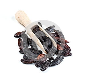 Wooden scoop on pile of dried tonka beans on white