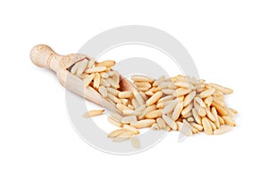 Wooden scoop with pine nuts