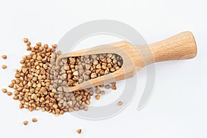 Wooden scoop of roasted buckwheat on a white background