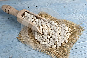 Wooden scoop with white beans