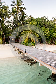 Wooden seaboard leading to tropical island with lush palm trees and white sany beach, Maldives