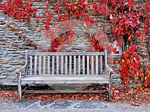 A wooden seat bench with grey stone-built wall and scarlett coloured leaves on the background