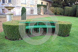 Wooden seat or bench with a sculptured hedge