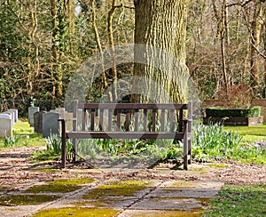 Wooden Seat in an English Cemetery