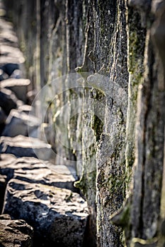 Wooden seawall near the Island Vlieland Sadden sea Friesland, The Netherlands