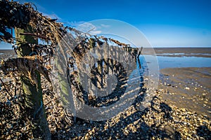 Wooden seawall near the Island Vlieland Sadden sea Friesland, The Netherlands