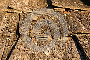 Wooden shakes of an old shingle roof