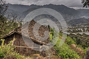 Wooden shed farmers in highlands of China, amid rice fields.